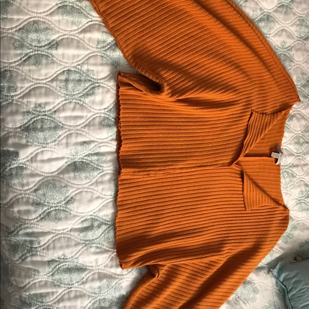 Charlotte Russe Crop Long Sleeved Top